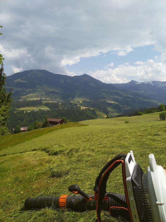 Schwemm Moos Apartamento Westendorf Exterior foto